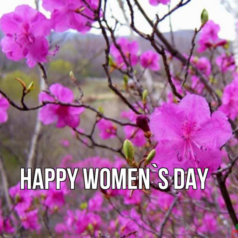 Greetings card с именем, выберите-имя happy women`s day международный женский день Greetings with text for free download 